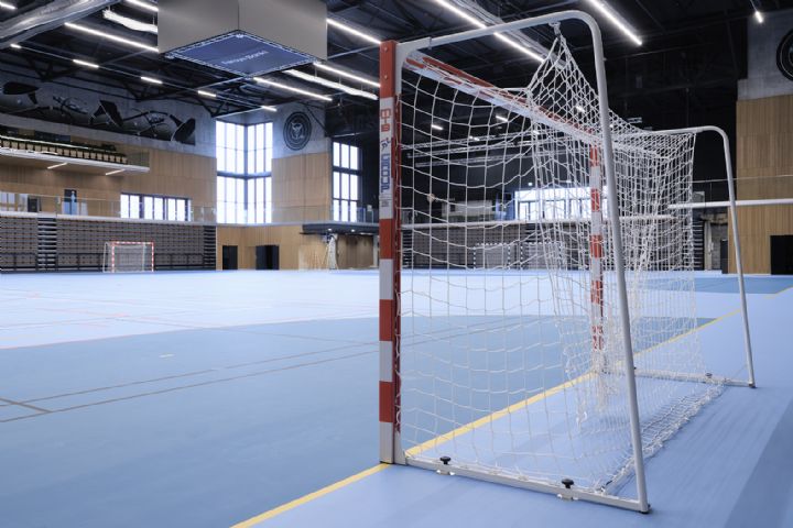 Billede til B�legg hallart�mar
